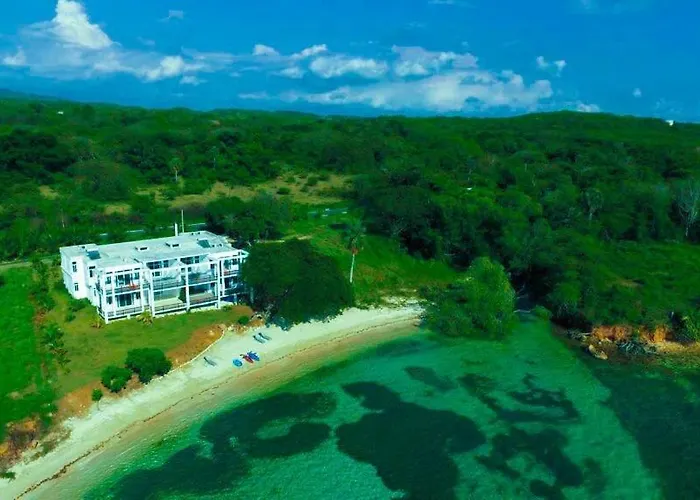 Ivys Cove On The Beach 4* Montego Bay